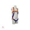 avernaco_aresta_2point_harness_double_fall_arresta_height_safety