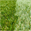 Hyundai 1600W 380mm Artificial Grass Sweeper / Brush | HYSW1600E